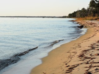 shoreline with boaters in distance
