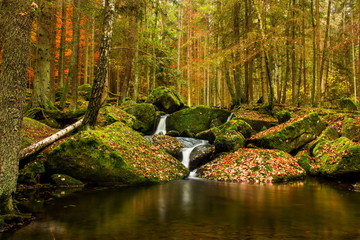 Autumn creek