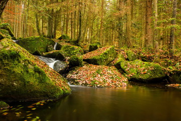 Obraz premium Autumn creek