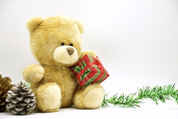 Bear with Christmas gift