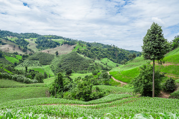 National parks, forests and mountains of Thailand