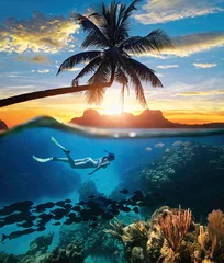 Photo sur Aluminium Plonger Femme plongée en apnée dans l& 39 océan des eaux tropicales claires le jour du coucher du soleil