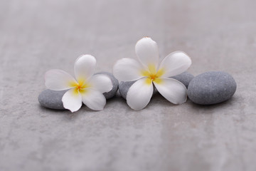 spa theme objects on grey background.