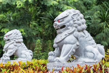 Lion stone in Chinese temple entrance.
