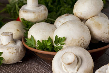 edible raw mushrooms