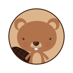 Little animal concept about cute beaver design, vector illustration 