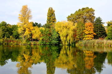Floridsdorfer Wasserpark im Herbst