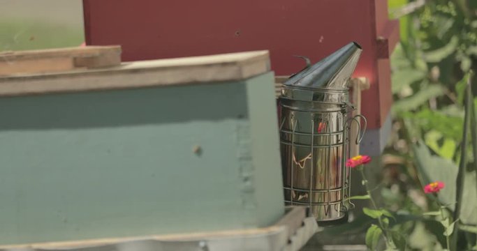 A bee smoker sits beside beehive with honeybees flying around the smoke.