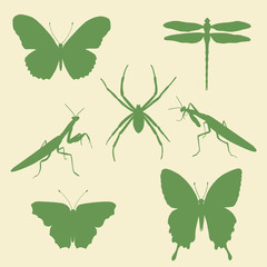 Vector set of silhouettes of insects - butterfly, spider, mantis