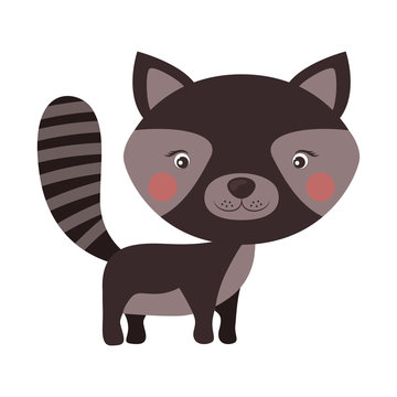 Little animal concept about cute raccon design. vector illustration 