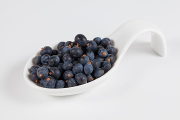 Frisch geerntete Wacholderbeeren in weißer Schale auf weißem Hintergrund
