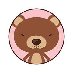 Little animal concept about cute bear design. vector illustration 