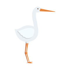 cartoon stork bird icon over white background. vector illustration
