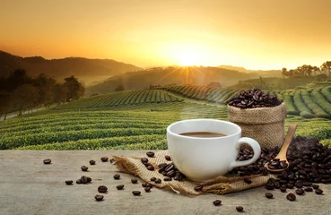 Tuinposter Hot Coffee cup with Coffee beans on the wooden table and the plantations background © DN6
