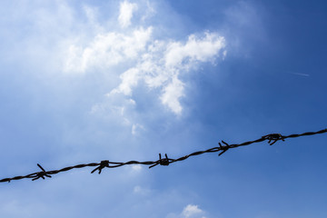 Barbed wire on sky background
