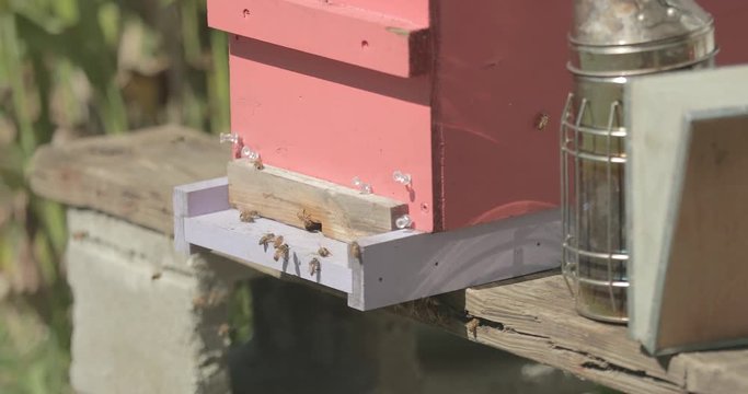 Honeybees fly around a beehive during the day.