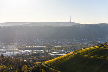 Vineyards at Stuttgart - beautiful wine region in the south of Germany