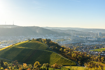 Vineyards at Stuttgart - beautiful wine region in the south of Germany