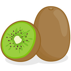 Kiwifruit. Vector illustration