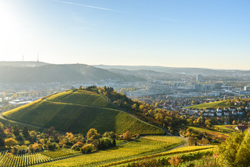 Fototapeta premium Winnice w Stuttgarcie - piękny region winiarski na południu Niemiec