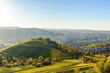 Fototapete Hügel Weinberge bei Stuttgart - schöne Weinregion im Süden Deutschlands