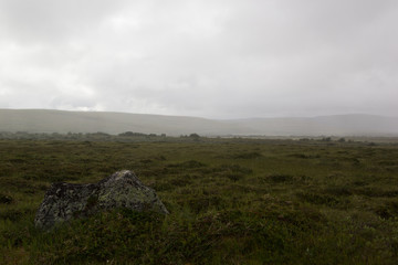  Morning fog in the valley of the meadow, haze. Arctic summer, the tundra, Norway.