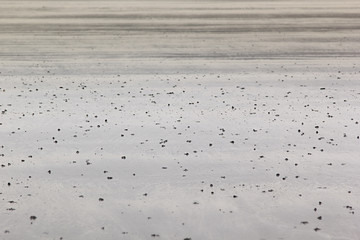 Texture pastel beige sand. Sandy background.