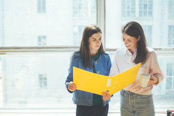 Two women discussing new working plan in office. Big bright window behind