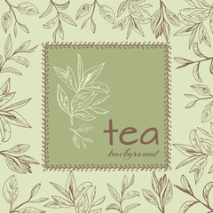tea logo vector background with painted leaves tea - 125683722