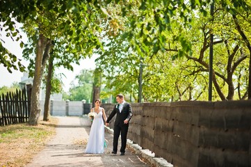 Newly wed in their wedding day at park