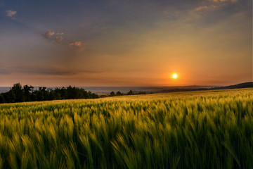 Landscape sunset over the field.