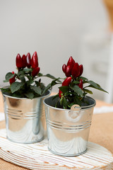 Decorative peppers for bouquets and arrangements in a small iron bucket. Floral