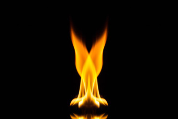Fototapeta premium Fire flame on black background, Fire, Flame