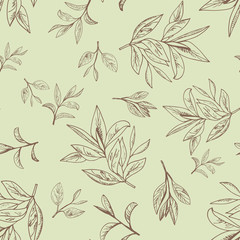 seamless pattern with tea leaf. Hand drawn