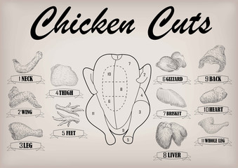 Chicken hen cutting meat scheme parts carcass brisket neck wing fillet back heart leg liver. Vector horizontal closeup side view illustration sign info graphics black outline isolated beige background