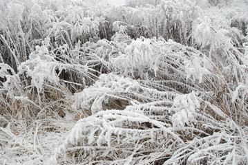 Hoarfrost