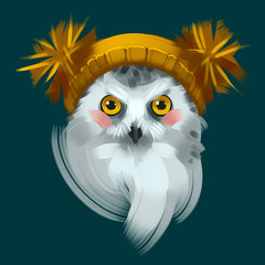 Cute owl bird in a winter knitted hat. Raster colorful hand drawn illustration. T-shirt print. Postcard art.