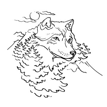 Wolf and Nature vector illustration page