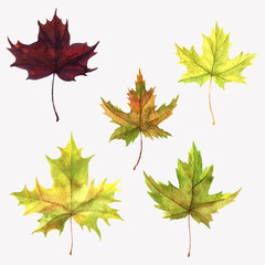 vector set of autumn leaves