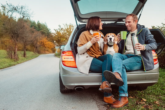 Tea party in car truck - loving couple with dog sits in car truc