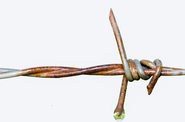 Drops of dew forming on a crystal clear winter Old rusty wire.