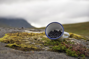 Delicious blueberries displayed in cup picked from rich Swedish grounds, nature background