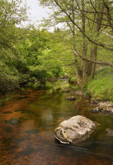 Beautiful coloration of this river flowing through green forest