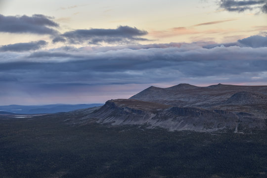 Sarek sunset over vibrant colored mountain ridge grown by pine forest