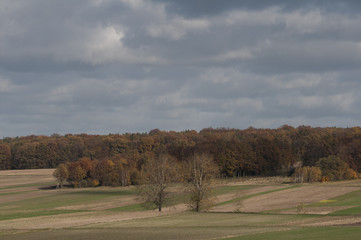 Fototapeta premium autumn field in Poland 