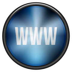 WWW World Wide Web button