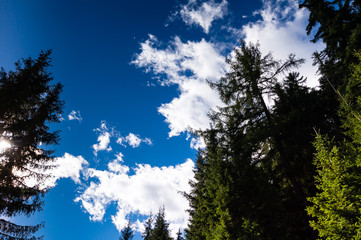 Landschaft