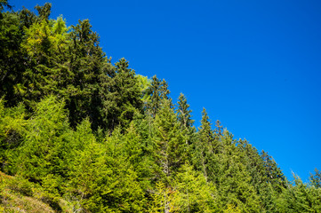 Fototapeta premium Landschaft