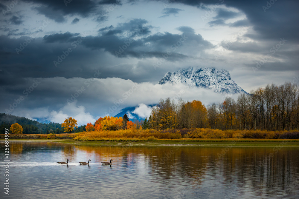 Wall mural grand teton national park fall colors