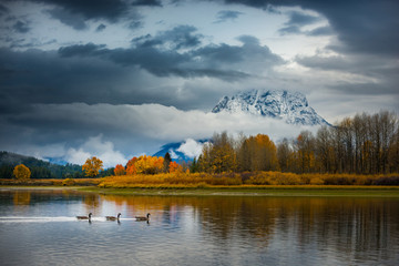 Grand Teton National Park Fall Colors